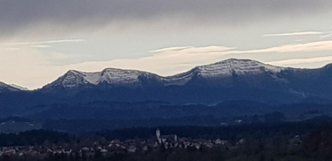 Апартаменты Alpenblick Лойткирх-им-Алльгой Экстерьер фото
